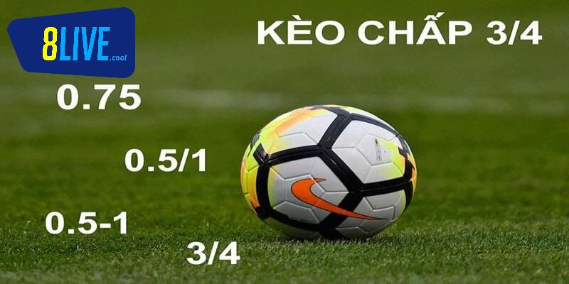 Các kèo cược để đặt rất đa dạng