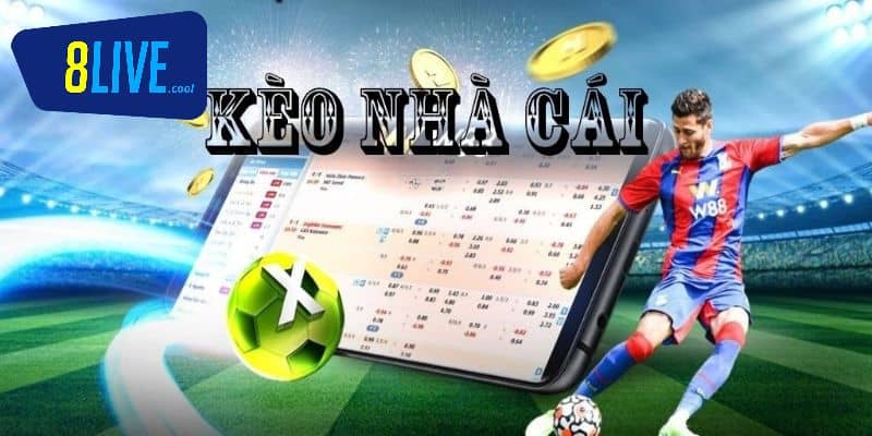 Học cách soi kèo là mẹo chơi thông minh