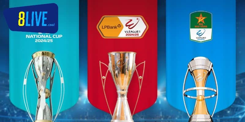 Thông tin về giải đấu V-League