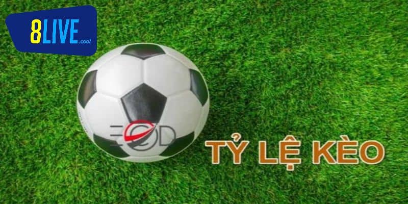 Thông tin về tỷ lệ kèo bóng đá nhà cái uy tín 2025?
