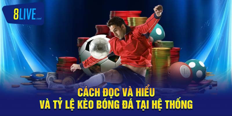 Cách đọc và hiểu và tỷ lệ kèo bóng đá tại hệ thống
