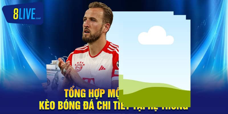 Tổng hợp một số tỷ lệ kèo bóng đá chi tiết tại hệ thống