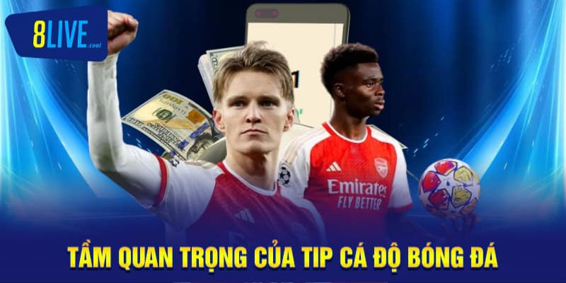 Tầm quan trọng của tip cá độ bóng đá